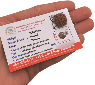 Hindustan Jewellery Premium eight Mukhi Rudraksha / Original Indonesia 8 faced / 8 Mukhi Rudraksha Beads Wood Locket
