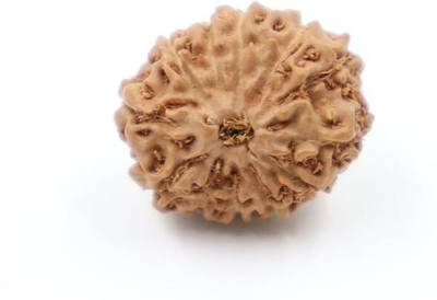 Beautum Indonesian 12 mukhi original certified natural rudraksha with capping Wood Pendant