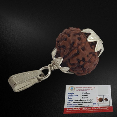 Kuttumb Gems & Jewels Original 7 Mukhi Rudraksha with Lab Certificate Pack of 1 Silver Wood Pendant Set