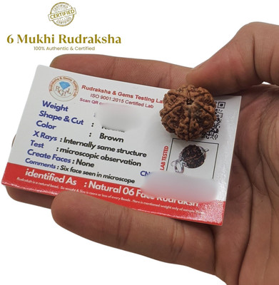 Fine Creation Natural 6 Mukhi Rudraksha six Faced Rudraksha Metal Cap Beads Wood Locket Set