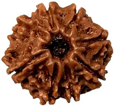 Shivtantra 8 Mukhi Rudraksha / 8 Face Rudraksha Silver Pendant With Lab Certificate 06 Wood Pendant