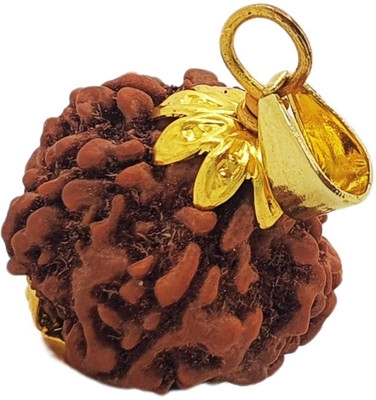 HAPPY CREATION Five/5Mukhi Rudraksha and Certificate Gold-plated Beads Brass, Wood Locket Set