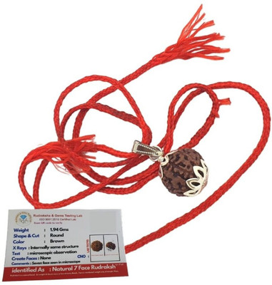 Kuttumb Gems & Jewels Satmukhi 7 Mukhi Rudraksha Original Original 7 Face Saat Mukhee Rudraksha Silver Wood Locket Set