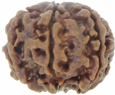 Beautum 11 Mukhi Pure Rudraksha, Laboratory Certified Wood Pendant