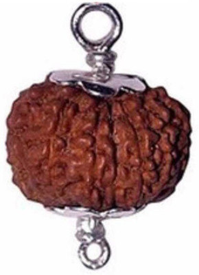 house of common Natural Twelve Face /12 Mukhi Rudraksha Wood
