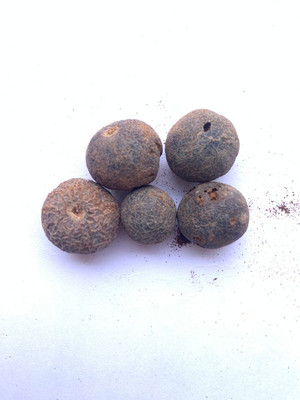 Rudraksham Rudraksha Nepali Scared Fruit (Set of 5) Wood Pendant Set
