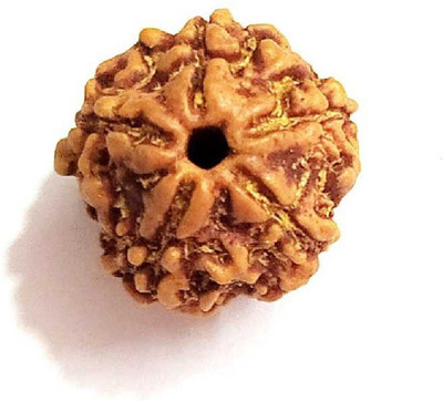 DIVINE SOUVENIRS 5 Mukhi Rudraksha Beads Original Shiv Shakti Beads Beads Astrological Purpose Beads Wood