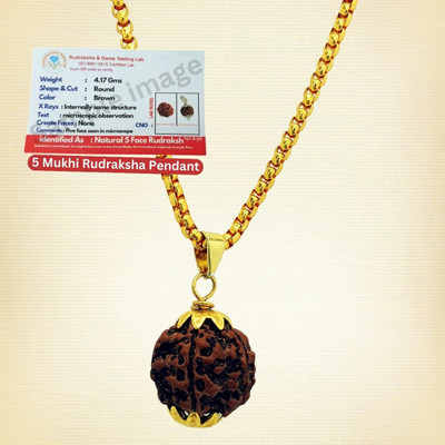 Bharat Collection Unique & Effective five Mukhi Rudraksha 5 Faced Rudraksha For Men & Women Gold-plated Beads Brass, Wood Locket Set