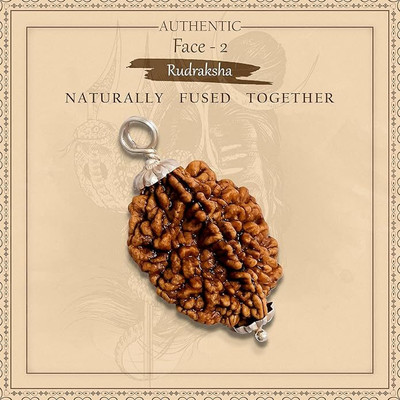 ZBEAUTUM NEPALI 2 MUKHI ORIGINAL RUDRAKSHA WITH METAL CAPPING Wood Pendant