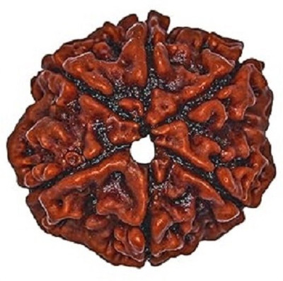 Rinishha Store Indonesia 6 Rudraksha Mala Pendant Wood Pendant