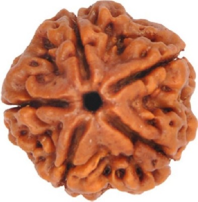 GangTarang Gangtarang 5 Mukhi Rudraksha Size 25x20x20mm, 6 gram (Nepal Origin) Wood Locket