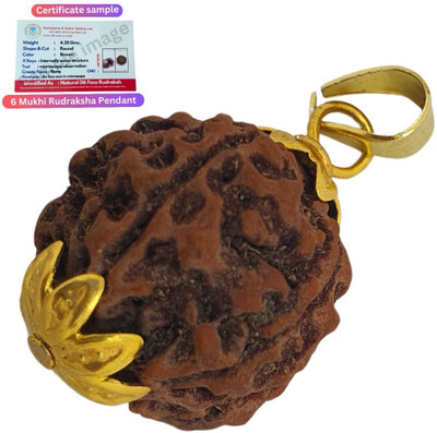 Madhur Creation 6 Mukhi Rudraksha Nepali with Lab Certificate Gold-plated Beads Brass, Wood Locket Set