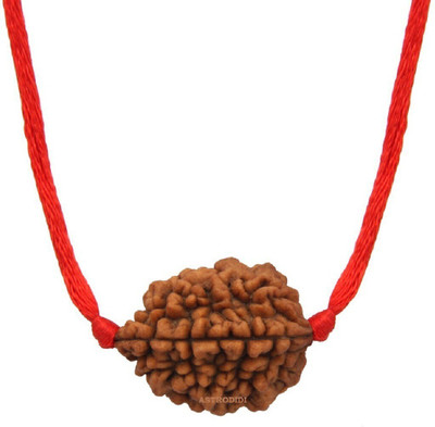 Devadidev 2 Mukhi Rudraksha Two Face Pendant With Lab Report Original Wood Pendant