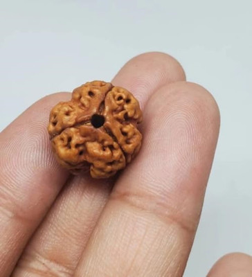 Beautum Original 3 Mukhi Rudraksha Nepali Bread Rudraksha Three Face Wood Pendant