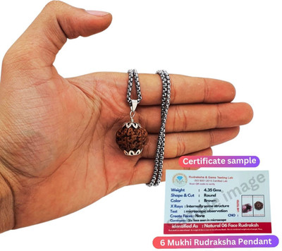 Shade Creation six Mukhi Rudraksha Pendant / Original Nepali 6 Mukhi Rudraksha Silver Beads Brass, Wood Locket
