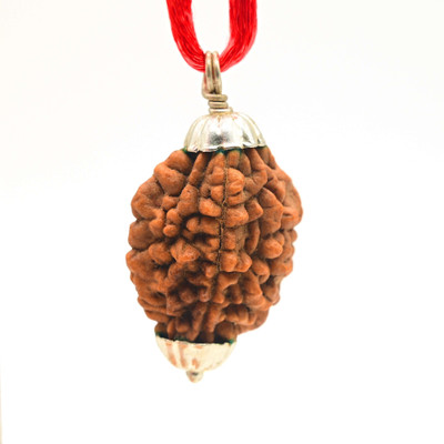DIVINE SOUVENIRS Original 2 Mukhi Rudraksha Certified Bead Pendant Two Face for Positivity Wood Locket