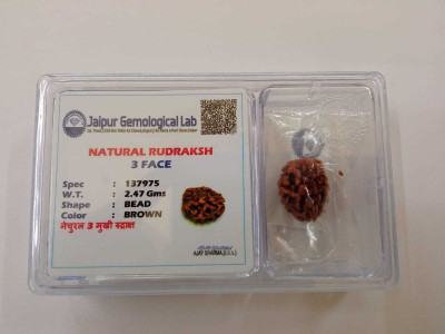 Divine Rudra and Astro Vastu 3 Mukhi Rudraksha Wood Pendant