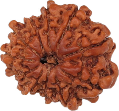 Rudrashan 11 Mukhi Rudraksha (Original & Energised) – FreeAstroGuide™ Rudrashan™ Wood Locket