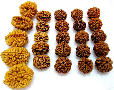 Jewelswonder Natural 2,3,4,5,6 Mukhi (Face) Rudraksh Rudraksha (Big lot 25 pieces)~Energized Wood Pendant Set