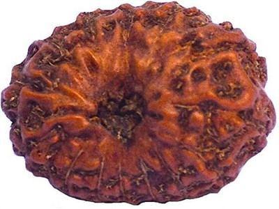 DIVINE SOUVENIRS 14 mukhi indonesian rudraksha Wood Pendant