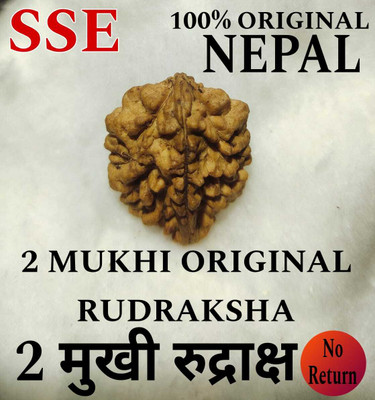 SSE 2 Mukhi Rudraksha Two face Rudraksha certified nepali Brown Color Wood