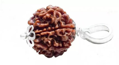 Chopra Gems Seven Mukhi Rudraksha Certified/Original 7 Mukhi Rudraksh/Natural Rudraksha Wood