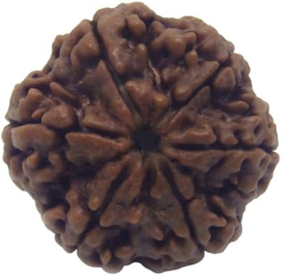 Beautum 6 Mukhi Rudraksha Original Natural Nepali Beads Six Face Rudraksha Wood Pendant