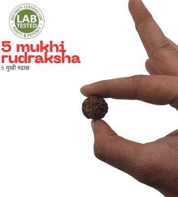 Bondwal Trendz 5 Mukhi Nepali Rudraksha Five Face Rudraksh With Original Quality Certificate Beads Wood Pendant