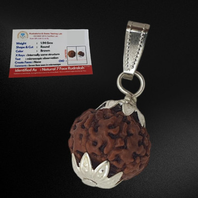 Fine Creation Original 7 Mukhi Nepali Rudraksha Seven Face Rudraksh Silver Wood Pendant