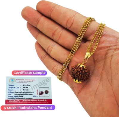 JangraBro 6 Mukhi/Faced Nepali Rudraksha with Rudraksha Pandant | Natural & Certified Gold-plated Beads Brass, Wood Locket Set