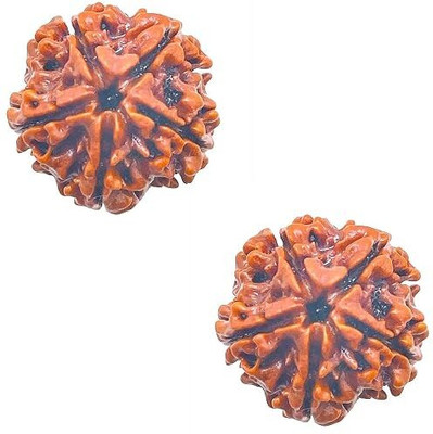 StrawHat GEMS FIVE MUKHI FIVE FACE PANCH MUKHI NEPALI RUDRAKSHA(Brown,Pack of 2) Wood