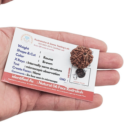 JangraBro Original 06 six Mukhi Rudraksha/Natural 06 Face Rudraksha Beads Wood Pendant Set