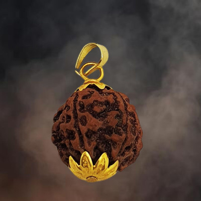 JangraBro Brown 6 Mukhi Nepali Rudraksha six Face Rudraksh Certified with Lab Report Gold-plated Beads Brass, Wood Locket
