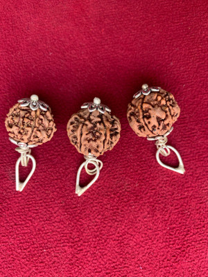 Rudraksham 6 Mukhi Nepali Rudraksha Pendant With Certificate Of Authenticity (Set of 2) Silver Brass Locket Set