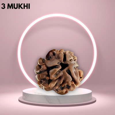 EliteTouch 3 Mukhi Rudraksha / Three Face Rudraksha With Red Chandan Beads Wood Pendant Silver Wood Locket