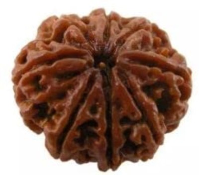 Beautum INDONESIAN ORIGINAL 8 MUKHI ORIGINAL RUDRAKSHA FOR MEN & WOMEN CODE:187 Wood Pendant