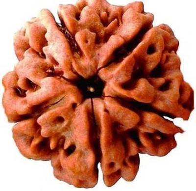 Shivtantra 5 Mukhi Rudraksha / 5 Face Rudraksha Silver Pendant With Lab Certificate 204 Wood Pendant