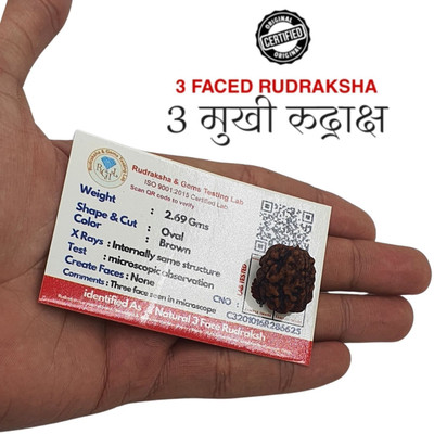 memstomuch 3 Mukhi Rudraksha Original Certified Lab Test & X-ray Report with Silver Capping Beads Wood Locket Set