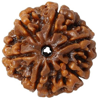 Beautum Original 6 Mukhi Nepali Rudraksha Six Face Rudraksh Wood Pendant