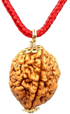 Beautum 2 Mukhi Rudraksha With Ganga Jal in Red Thread Two Face Original Rudraksh Wood Pendant