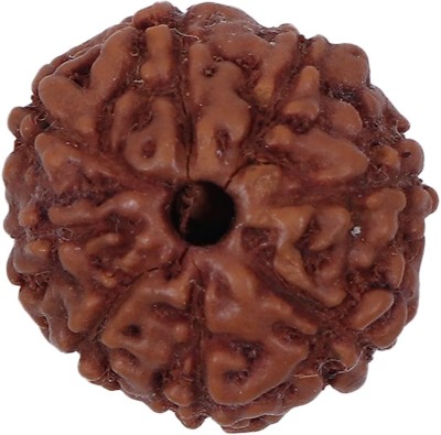 Beautum INDONESIA ORIGINAL 8 MUKHI ORIGINAL RUDRAKSHA FOR MEN & WOMEN CODE:3 Wood Pendant