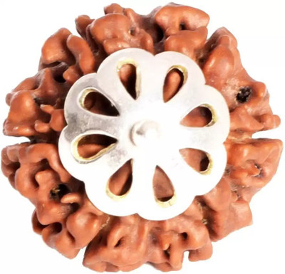 Fine Creation 6 Mukhi Rudraksha Original Nepali | Six Face Rudraksha Wood Pendant