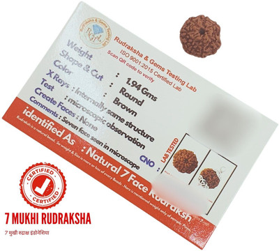 House Spiritual ENTERPRISE 7 Mukhi Rudraksha seven Faced saat Nepali Rudraksh Bead Original & Certified Wood Pendant