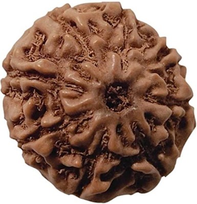 Beautum Indonesian 8 mukhi original certified natural rudraksha with metal capping Wood Pendant