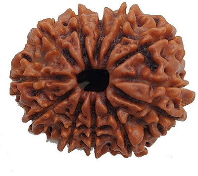 DIVINE SOUVENIRS 12 Mukhi/12Mukhi Nepali Rudraksha Small Wood Locket