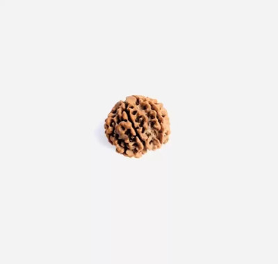 Fine Creation 6 Mukhi Nepali Original Rudraksha With silk Dori Wood Pendant