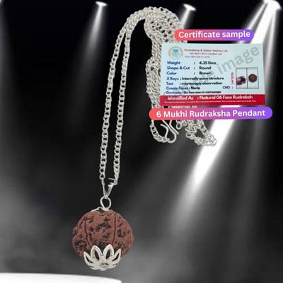 leahyallen six Mukhi Rudraksha Certified/Original Nepali 6 Mukhi Certificate Silver Beads Brass, Wood Locket