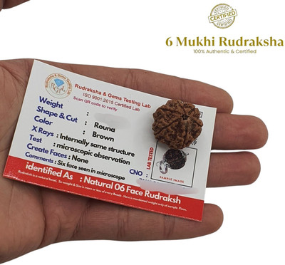 Fine Creation 6 Mukhi Rudraksha Nepal Original six Face Rudraksha Metal Capped Beads Wood Locket Set