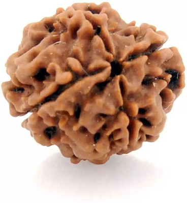 Jewelswonder Unique & Effective Four Mukhi Rudraksha 4 Faced Rudraksha For Men & Women Wood