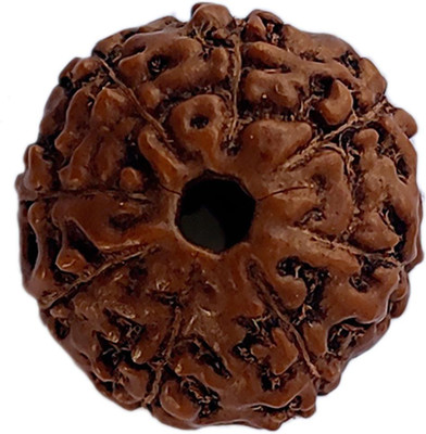 PRIYANSHU NAVRATN Certified 8 Mukhi 8 Face Rudraksha Bead Natural Small Size Java Bead Rudraksha Beads Wood Pendant